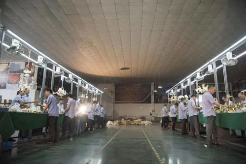 光影新境，幸福為燈 艾摩燈3.0極簡輕奢展廳與大師設計的共鳴