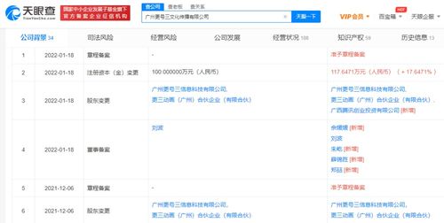 軟件服務(wù) 定義、優(yōu)勢(shì)與未來展望