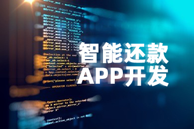 智能還款系統(tǒng)開發(fā) 軟件定制開發(fā)商